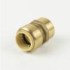Valves, Fittings & Connectors ProLine Series Brass Push Fit | 3/4-In Pf X Fip Brass Push Fit Female Adapter