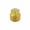 Valves, Fittings & Connectors ProLine Series Brass Fittings & Nipples | Brass 3/4-In Mip Plug