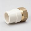 Valves, Fittings & Connectors B&K Transition | Cpvc 1-1/4-In Solv X 1-1/4-In Fip Brass Transition Adapter