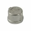 Valves, Fittings & Connectors ProLine Series | Stainless Steel 304 3/8-In Fip Cap