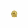 Valves, Fittings & Connectors ProLine Series Flare Fittings | Brass 1/4-In Fl Cap
