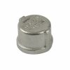 Valves, Fittings & Connectors ProLine Series | Stainless Steel 304 1/2-In Fip Cap